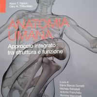 Anatomia umana