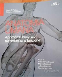 Anatomia umana