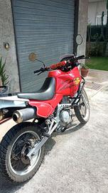 Honda dominator