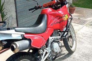 Honda dominator