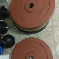 2 dischi bumper 20kg uno olimpionici pesi palestra