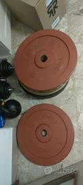 2 dischi bumper 20kg uno olimpionici pesi palestra