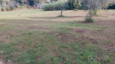 terreno agricolo di 6000 mq