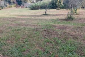 terreno agricolo di 6000 mq