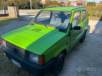 Panda 1.1 young 2003