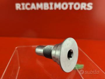 VITE CAVALLETTO LATERALE BMW G310GS