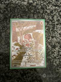 swinub alternative 165/159 avventure insieme 