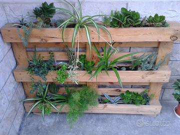 Fioriera bancale con piante grasse e sempre verdi