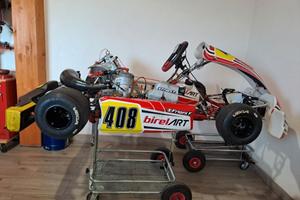 Birel art s16