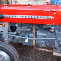 Trattore agricolo frutteto Massey ferguson
