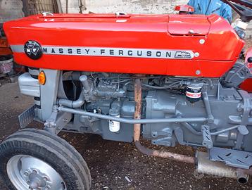 Trattore agricolo frutteto Massey ferguson