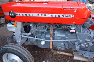 Trattore agricolo frutteto Massey ferguson