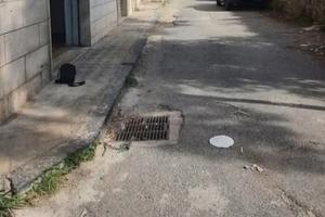 Posto moto in comune opzione tutto da stabilire