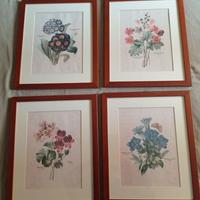Set 4 stampe botaniche di Pierre Redoute'