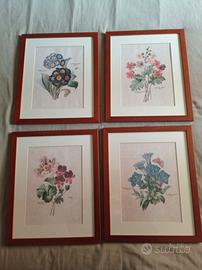 Set 4 stampe botaniche di Pierre Redoute'