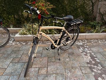 Bici elettrica