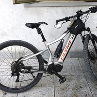 E-mtb OLYMPIA PERFORMER 900