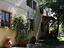Immagine 5