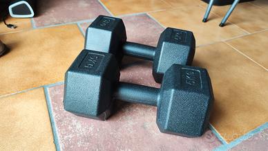 Coppia di manubri da 5 kg ciascuno