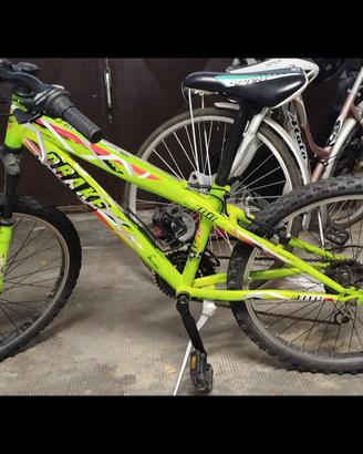 bicicletta ragazzo 24"