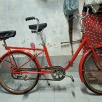 BICICLETTA TANDEM  BI-BICI