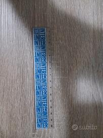 righello inter 15 cm