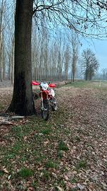 Beta rr50 factory racimg