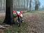Immagine 1