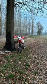 Beta rr50 factory racimg