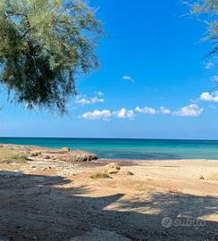 SALENTO LIDO MARINI 100m. dal mare