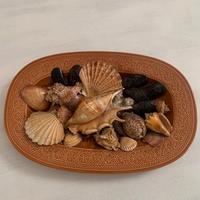 VASSOIO IN CERAMICA LAVENO CON CONCHIGLIE AMALFI