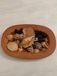 VASSOIO IN CERAMICA LAVENO CON CONCHIGLIE AMALFI