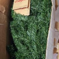 albero 180