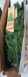 albero 180