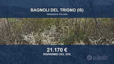 Immobile in asta di 30550 m² a Bagnoli del Trigno