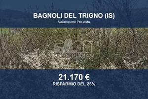 Immobile in asta di 30550 m² a Bagnoli del Trigno
