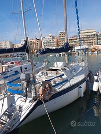 Barca a vela dullia pupa