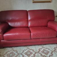 Divani in pelle