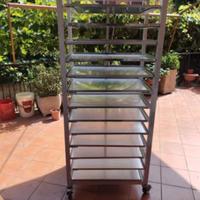 Carrello con vassoi per la ristorazione #Roma