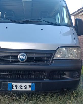  Ducato 7 posti più pedana  disabili 