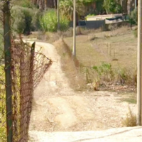 Olio