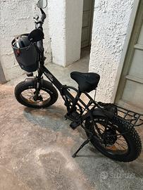 Bici elettrica