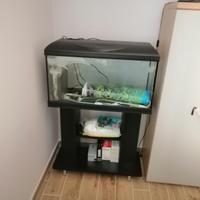 Acquario con mobile