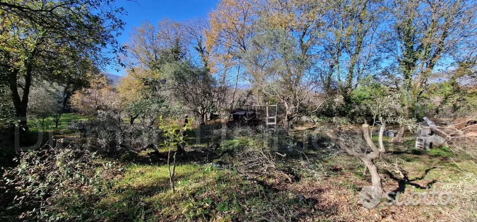 Terreno con rustico a Castiglione di Sicilia - Vista 5
