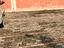 Immagine 8