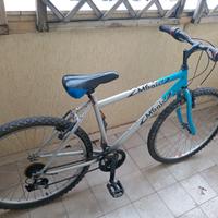 Bicicletta 26