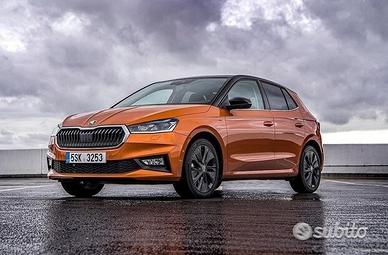 Ricambi usati skoda fabia-sw 2014-2024
