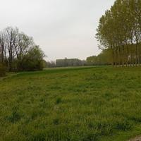 Terreno per attività