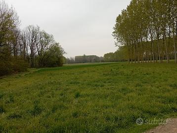 Terreno per attività