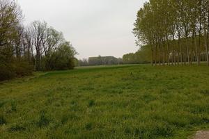 Terreno per attività